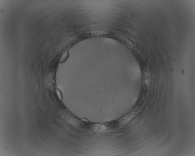 X0000073390519200608251437
