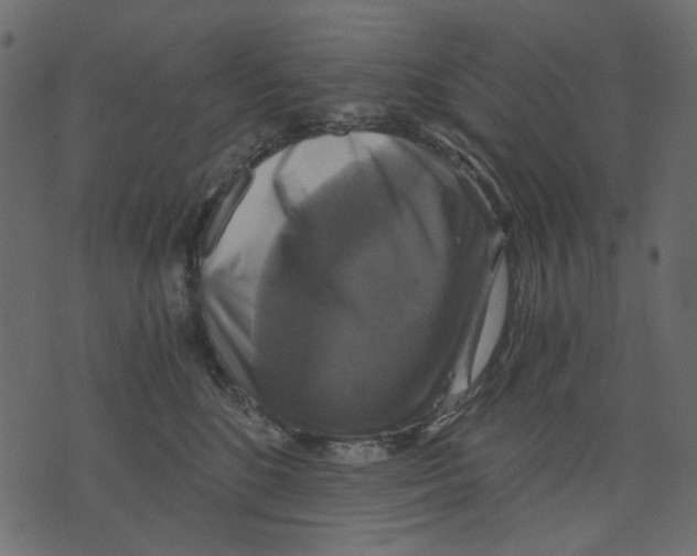 X0000073390520200608251437