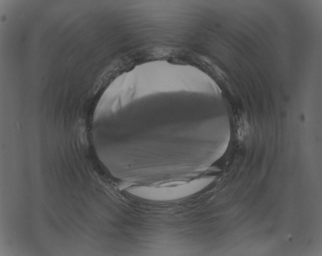 X0000073390524200608251437