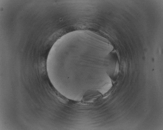 X0000073390526200608251437