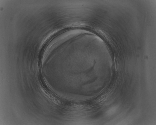 X0000073390531200608251436