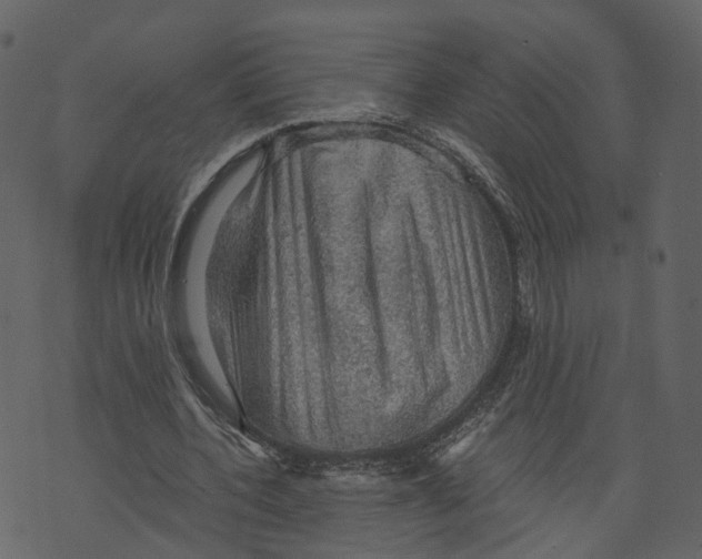 X0000073390532200608251436