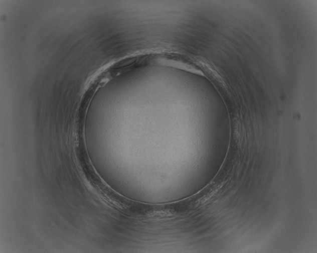 X0000073390536200608251436