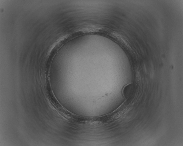 X0000073390539200608251436