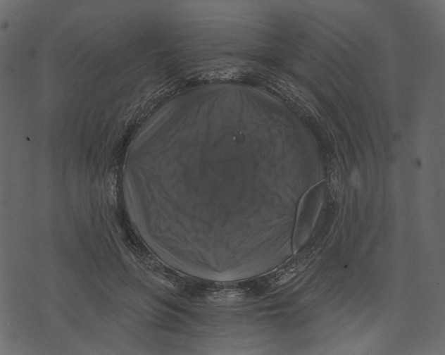 X0000073390551200608251437