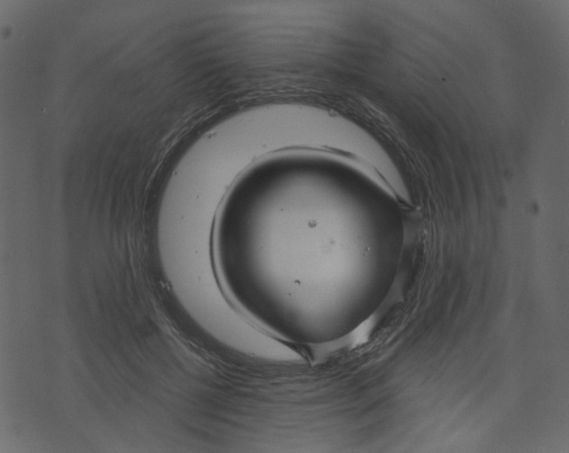 X0000073390552200608251437