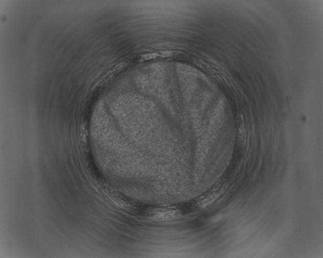 X0000073390555200608251437