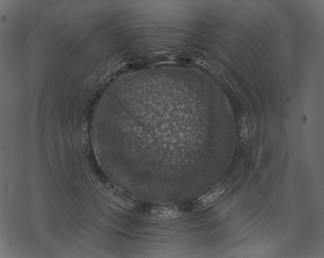 X0000073390559200608251437