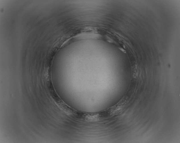 X0000073390560200608251437