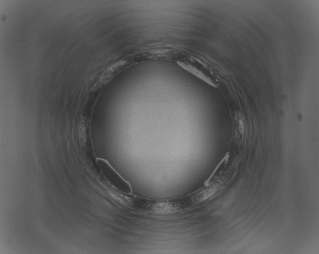 X0000073390562200608251437