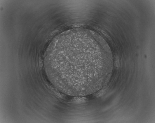 X0000073390569200608251437