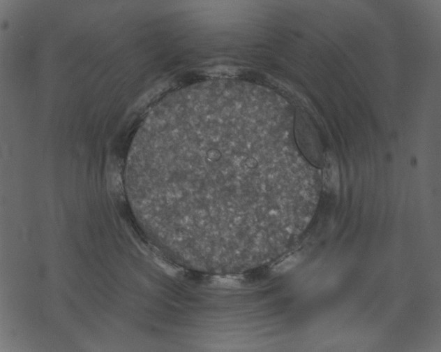 X0000073390573200608251437