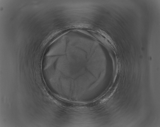 X0000073390577200608251436