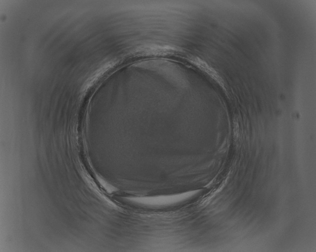 X0000073390581200608251436