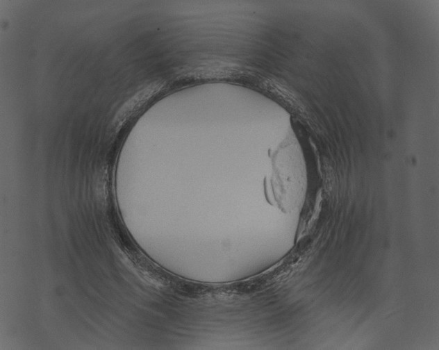 X0000073390586200608251436