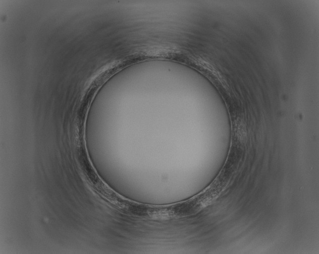 X0000073390587200608251436