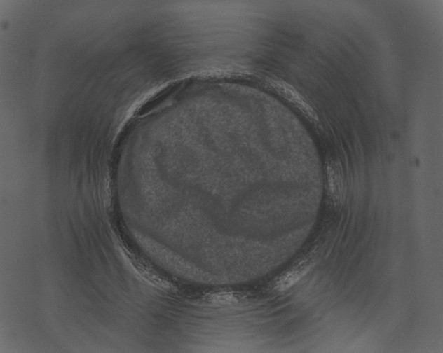 X0000073390588200608251436