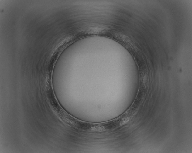 X0000073390591200608251436