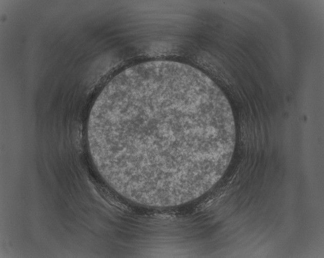 X0000073390592200608251436