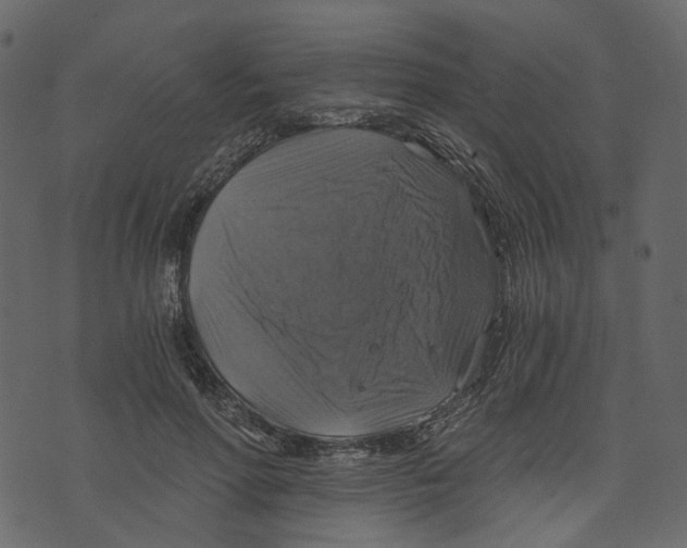 X0000073390598200608251436
