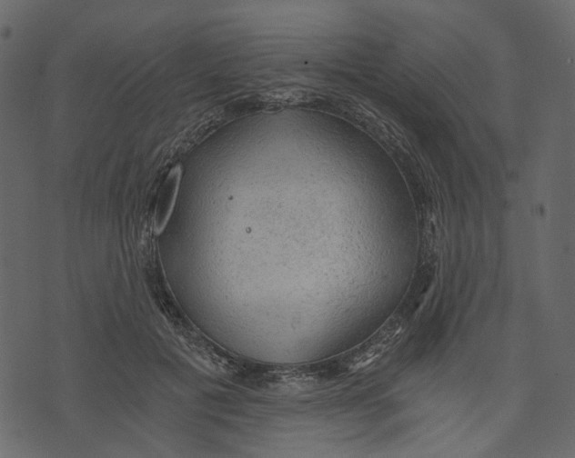 X0000073390601200608251436