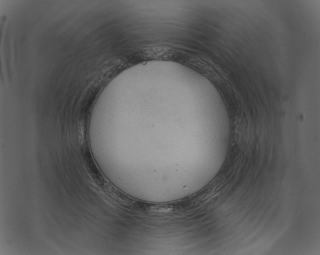 X0000073390602200608251436