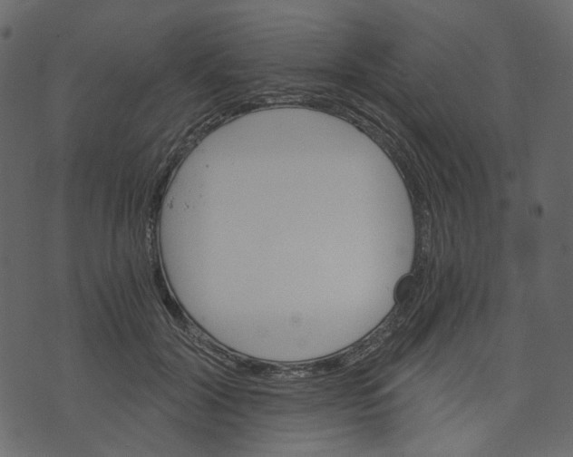 X0000073390604200608251436