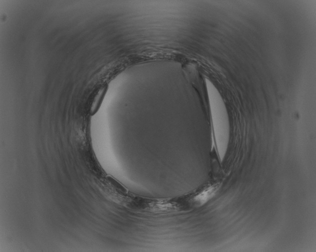 X0000073390607200608251436