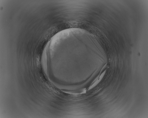 X0000073390610200608251436