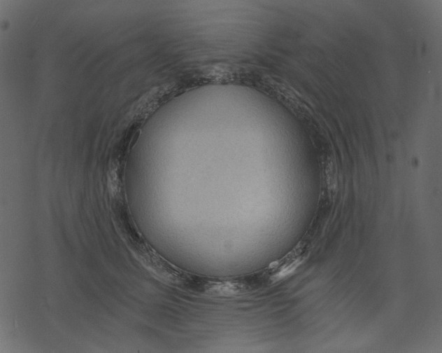 X0000073390611200608251436