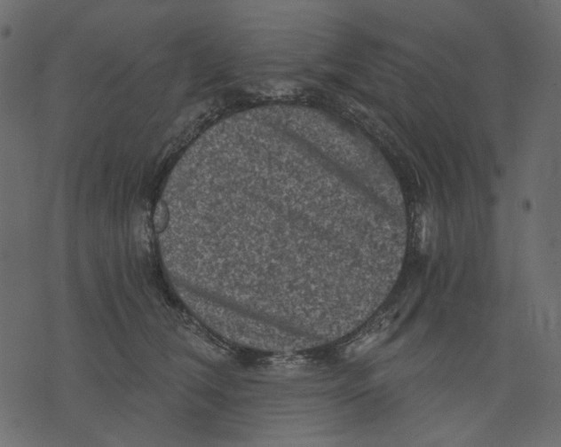 X0000073390612200608251436