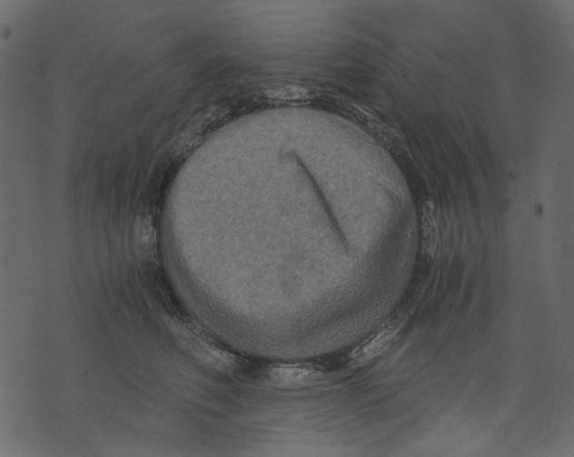 X0000073390614200608251436