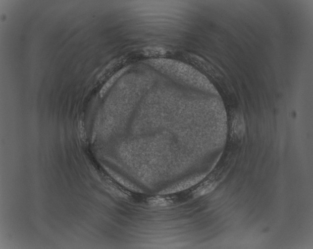 X0000073390616200608251436