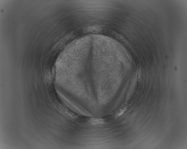 X0000073390617200608251436