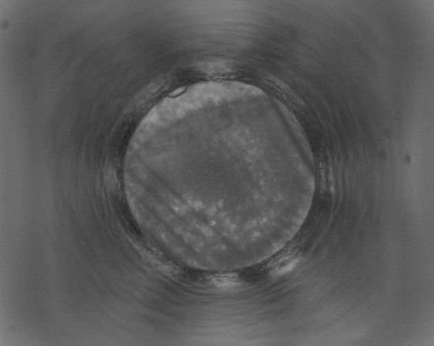 X0000073390618200608251436