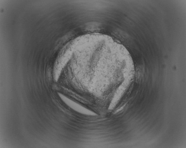 X0000073390623200608251436