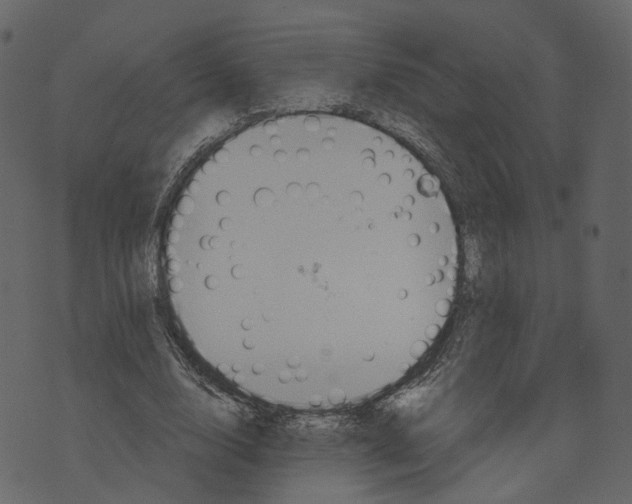 X0000073390632200608251435