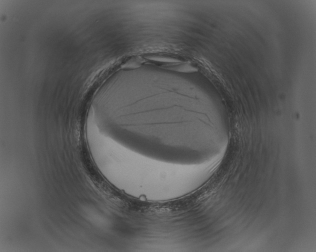 X0000073390640200608251435