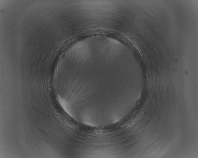 X0000073390641200608251435
