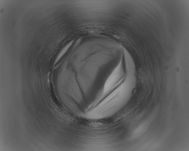 X0000073390650200608251435