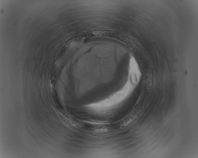X0000073390653200608251435
