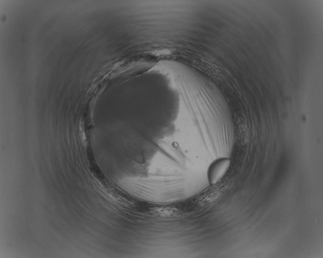 X0000073390654200608251435