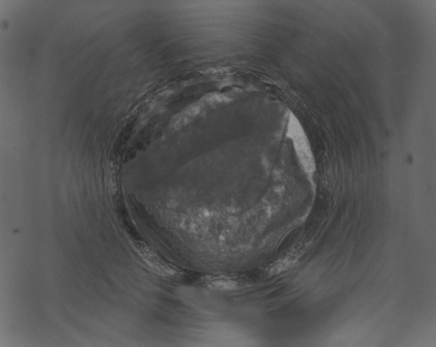 X0000073390658200608251435