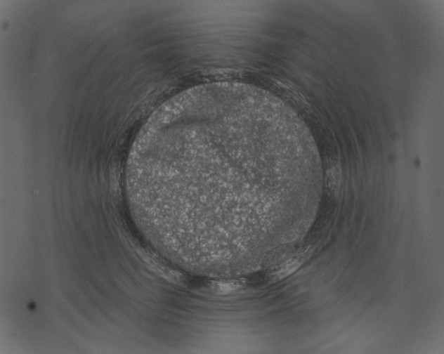 X0000073390662200608251435