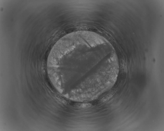 X0000073390663200608251435