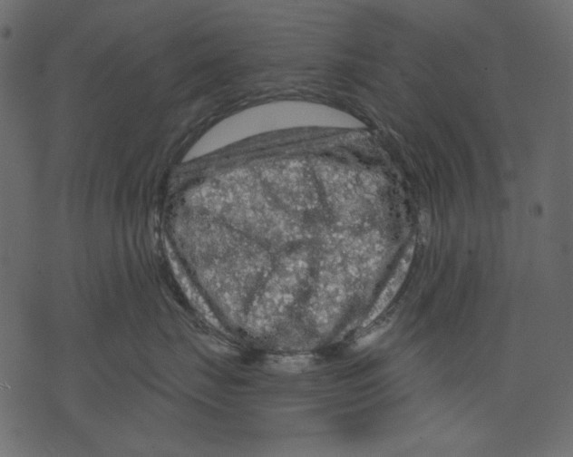 X0000073390671200608251436