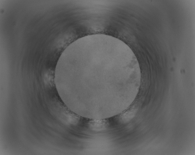 X0000073390672200608251436