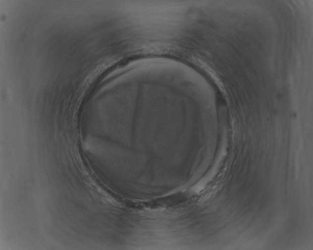 X0000073390673200608251435