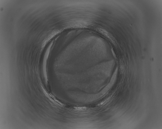 X0000073390677200608251435