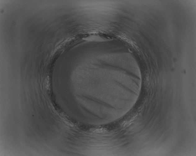 X0000073390689200608251434
